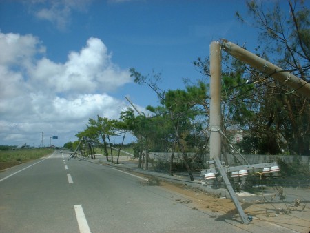電柱も無残な状態